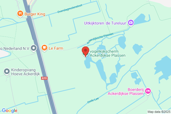 Vogelbescherming Nederland