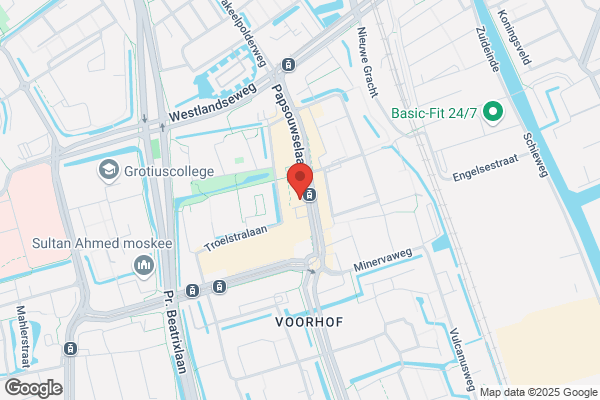 Action Delft