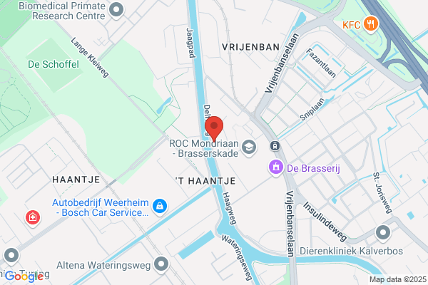 Delftse Pauw BV De