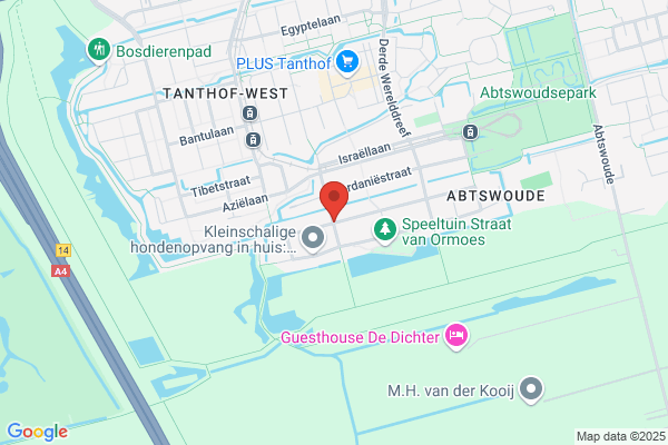 Dijkgraaf, Q