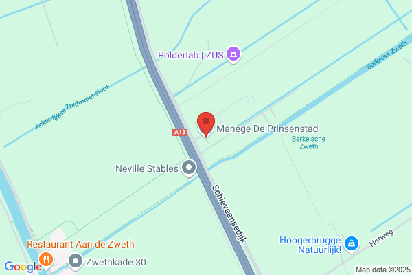 Delftse Ponyclub