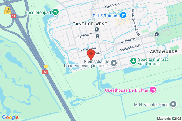 Wijkwerk Tanthof, Sticht