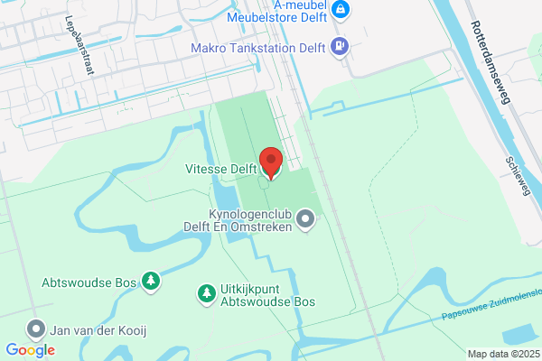 Delft Vv