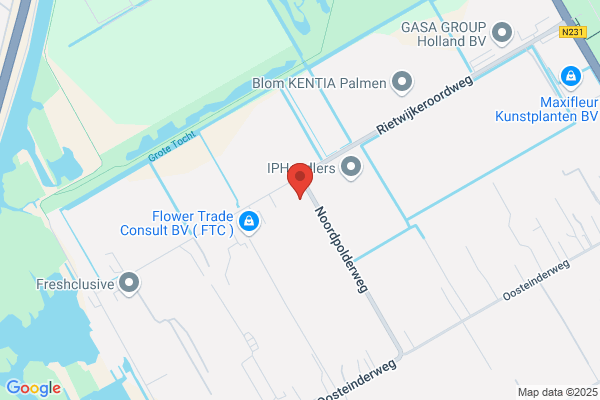 Aalsmeer Horticulture Export