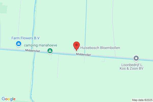 Hulsebosch Bloembollen Bv