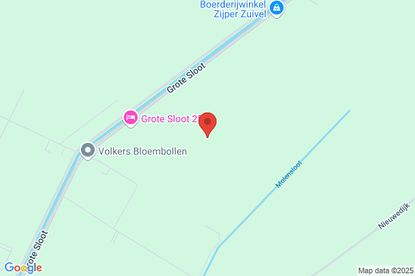 Zijpe