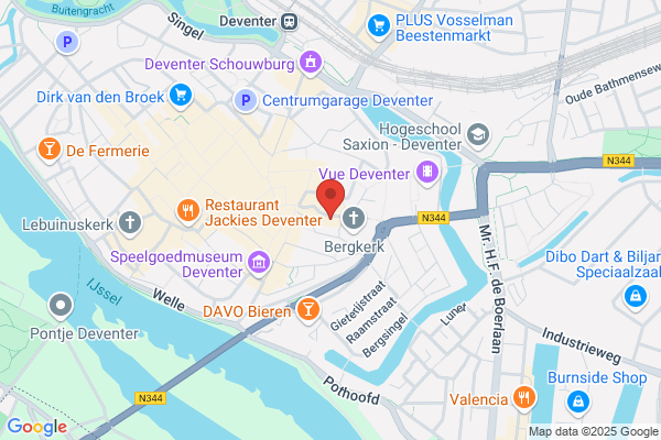 De Kunstelaar