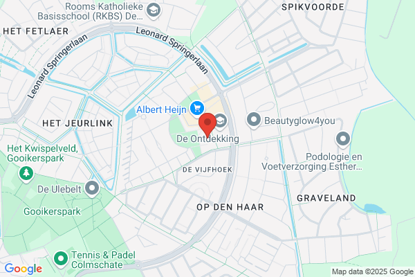 Wizard, Obs De