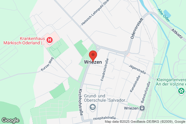 Vriezen, J F