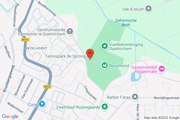 Sprong, De