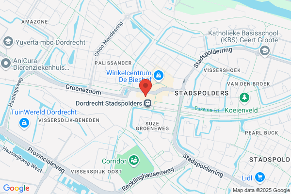 Borsboom & Hamm