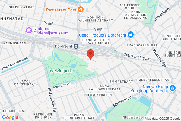 Acupunctuur D. Nieuwstraten