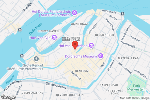 Neuraaltherapie, Ver
