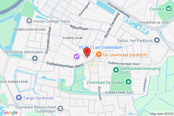 Damplein