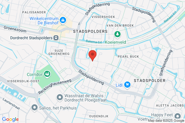 Wijngaarden, A A Van