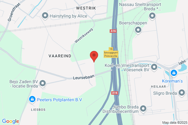 Zeldenrust Vof, T