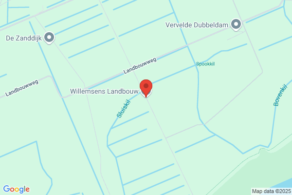 Willemen