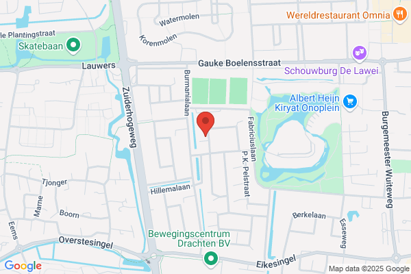 Groen Acupunctuur Fysische Agentia