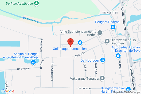 Kootstra Cv