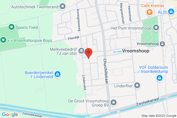 Dolfijn