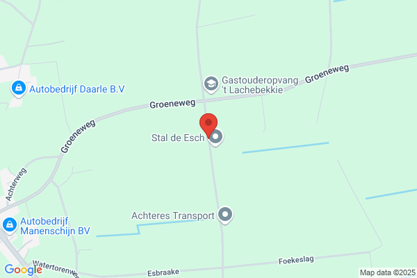 G Janssen