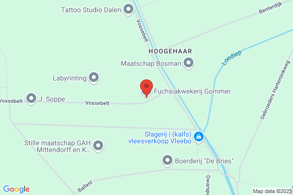 Fuchsiakwekerij Gommer