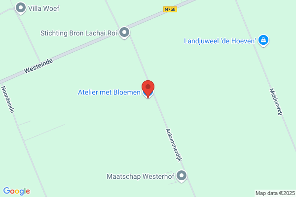 Bloemisterij A Ten Dam