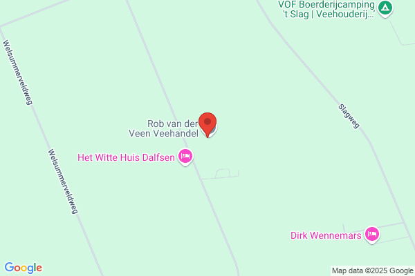H.J. Van Der Veen