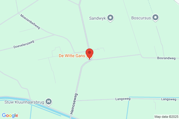 Witte Gans Bv, De