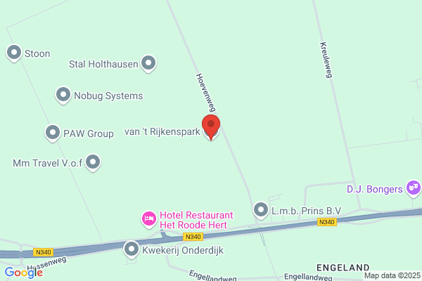 Berner Sennenhon, De