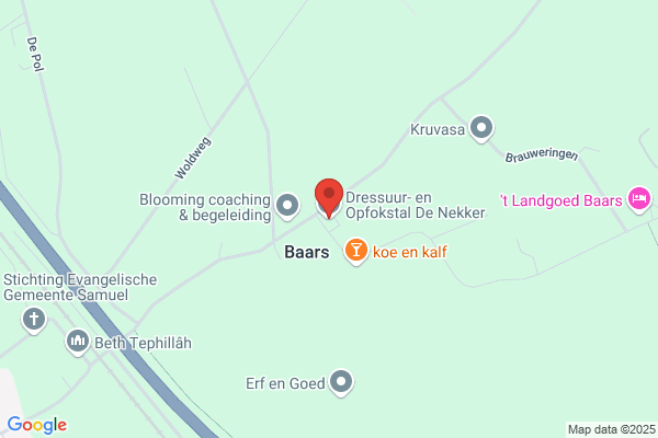 De Nekker