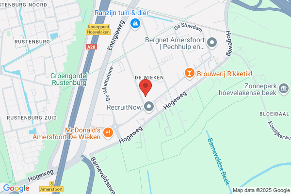 Nederlands Engelse Water Services