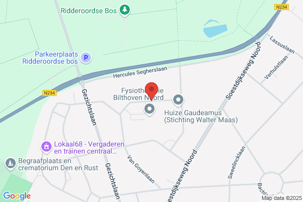N J Veenstra