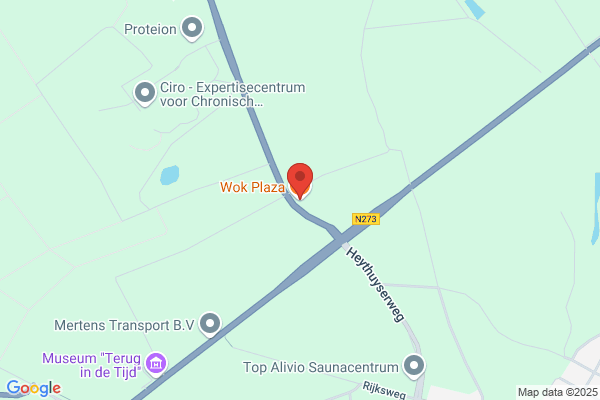 Wok Plaza
