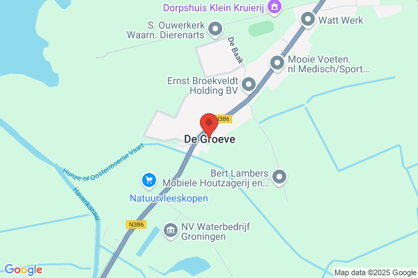 Niekelangelo