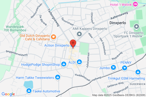 Action Dinxperlo