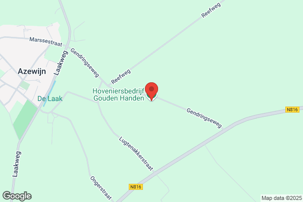 Gouden Handen