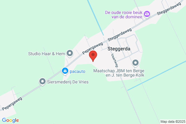 Jong, Oege De