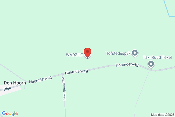 Firma Wijtten