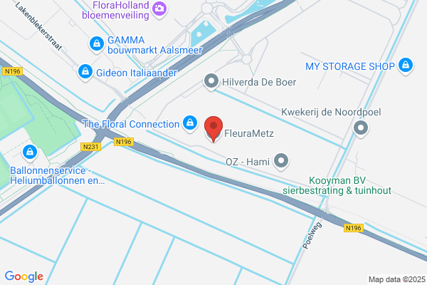 Fleura Aalsmeer Bv