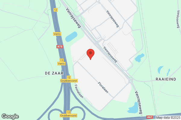 Dings Bv, Leon