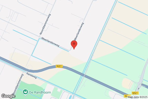 Ruiter's New Roses Int Bv, De