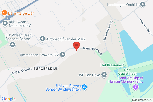 Spruijt