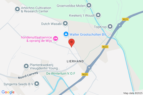 Wiveld