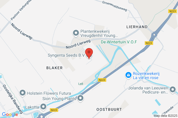 Bruinsma Seeds Bv
