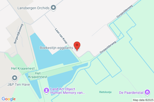 Handelskwekerij Gebroeders Boekestijn Bv
