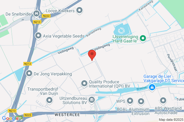 Hogoplant Bv