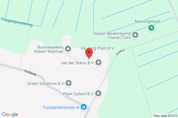 Van Rijn Jongplant Bv