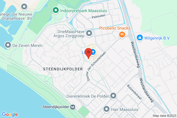 Wildenburg, C J J