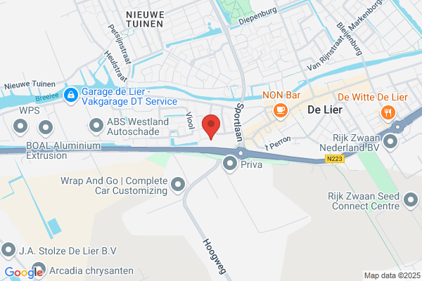 Picom Offset De Lier
